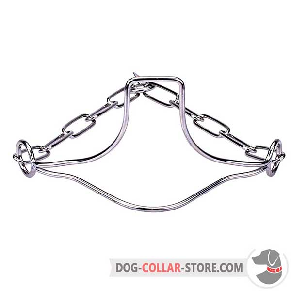 Dog show collar made of stainless steel