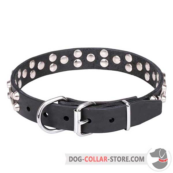 Dog Collar with chrome plated hardware