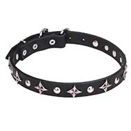 "Pleiades" 4/5 inch (25 mm) Dog Collar with Chrome Plated Fineries