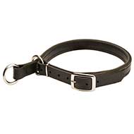 Leather Dog Choke Collar with Buckle