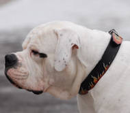 Hand Painted Leather American Bulldog Collar with Flames