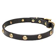 'Stamped Studs' 3/4 Inch Wide Leather Dog Collar