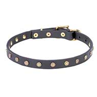 'Stars' Leather Dog Collar with Decorative Studs