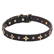 'Milky Way' 1 inch (25 mm) Leather Dog Collar with Brass Plated Decorations