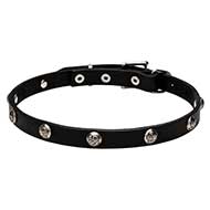 'Lucky' Leather Dog Collar with Engraved Studs 'Lucky' Leather Dog Collar with Engraved Studs