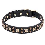 "Hollywood Star" 1 1/4 inch (30 mm) Leather Dog Collar with Brass Fineries