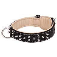 Nappa Padded Leather Dog Collar with Nickel Plated Spikes Nappa Padded Leather Dog Collar with Nickel Plated Spikes