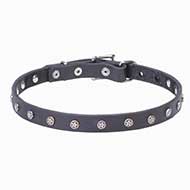 'Stellar' Dog Leather Collar with Star-Shaped Studs