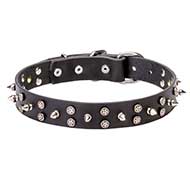 'Star-Studded Sky' Dog Walking Collar with Decorations 'Star-Studded Sky' Dog Walking Collar with Decorations