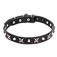 "Blazing Stars" 4/5 inch (25 mm) Decorated Leather Dog Collar