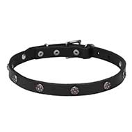 'Sparkling Beauty' Leather Dog Collar with Engraved Studs