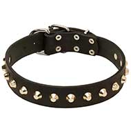 'Daily Elegance' Leather Dog Collar with Studs