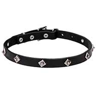 'Cosmic Stars' Narrow Leather Dog Collar 'Cosmic Stars' Narrow Leather Dog Collar