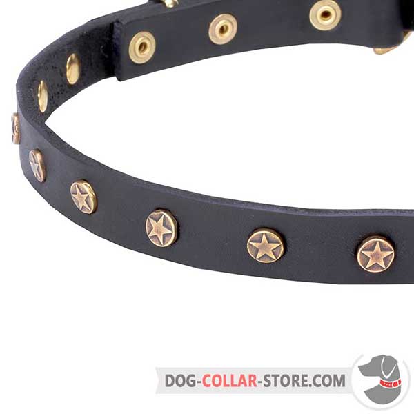 Dog Collar, rustproof decorative studs
