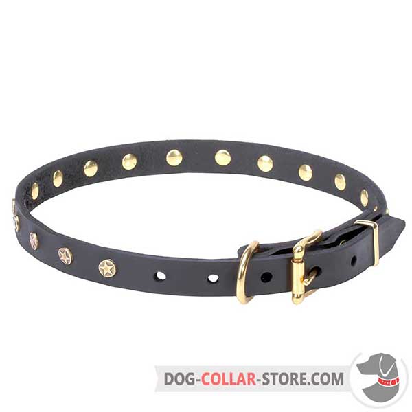 Dog Studded Collar: riveted brass-plated hardware