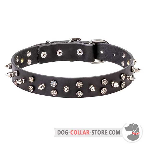 Dog leather collar: amazing exterior