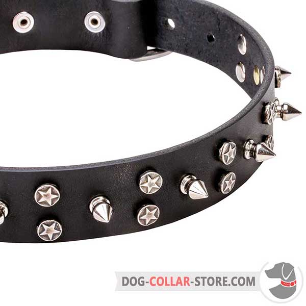 Dog Collar, awesome decor