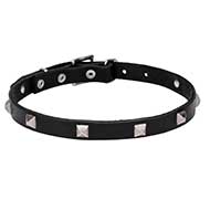'A La Mode' Leather Dog Collar with Pyramidal Studs 'A La Mode' Leather Dog Collar with Pyramidal Studs