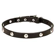 'Shiny Necklace' Leather Dog Collar Trendy Design