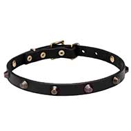 'Age of Style' Leather Dog Walking Collar