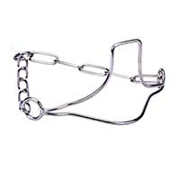 'Winner's Pride' Stainless Steel Show Dog Collar 'Winner's Pride' Stainless Steel Show Dog Collar