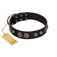 "Tricky Ricky" FDT Artisan Black Leather dog Collar Adorned with Silver-Like Conchos