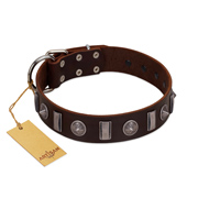 "Spiky Way" FDT Artisan Brown Leather dog Collar with Silver-Like Decorations