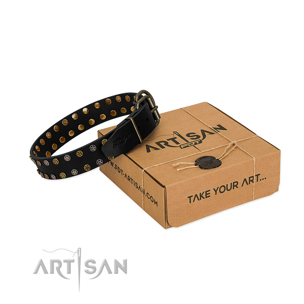Remarkable full grain leather dog collar with strong studs