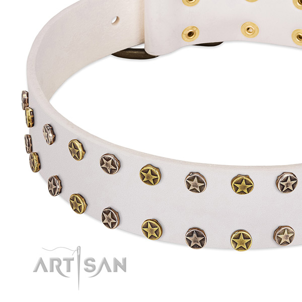 Remarkable studs on natural leather collar for your canine