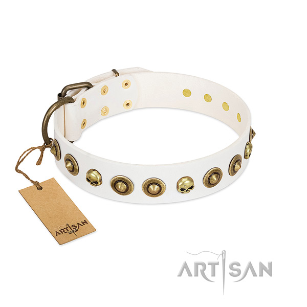 Full grain leather collar with extraordinary studs for your four-legged friend