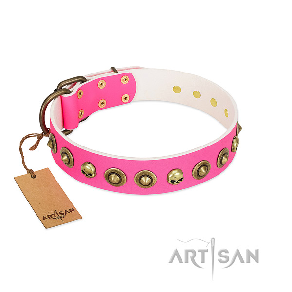 Remarkable natural leather dog collar with reliable decorations