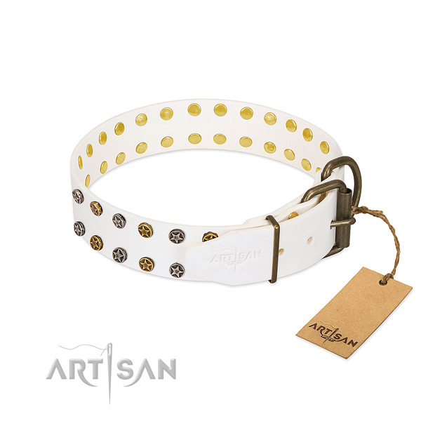 Unusual genuine leather dog collar with rust-proof embellishments