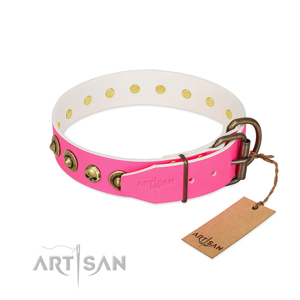 Leather collar with significant studs for your four-legged friend