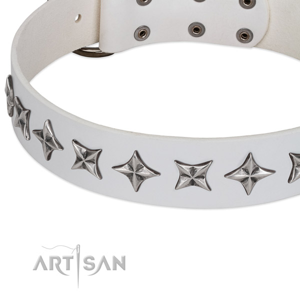 Comfy wearing embellished dog collar of finest quality full grain leather