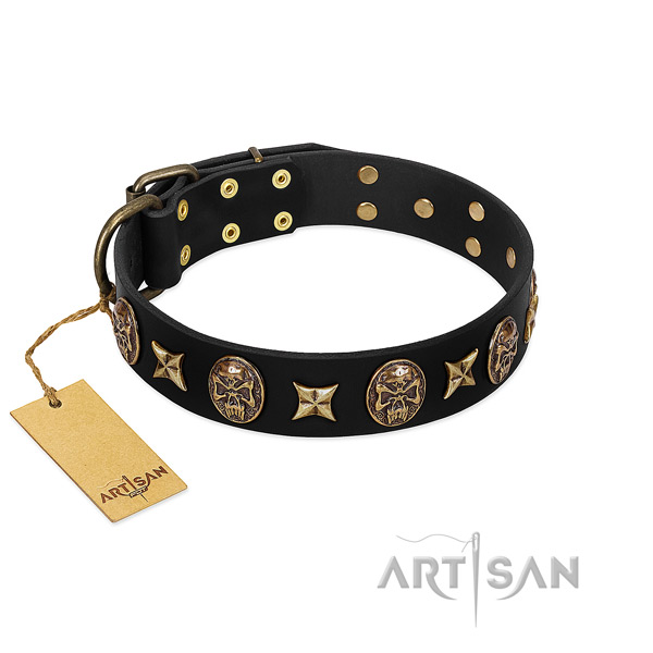 Unusual full grain natural leather collar for your four-legged friend