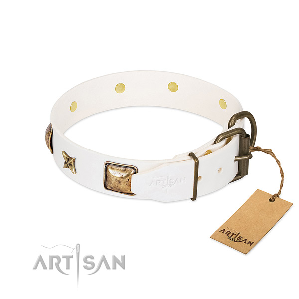 Full grain leather dog collar with strong fittings and decorations