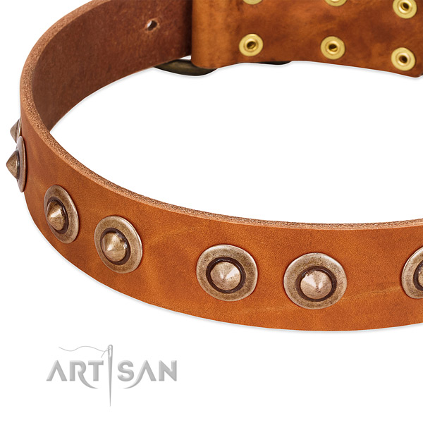 Rust-proof hardware on leather dog collar for your dog