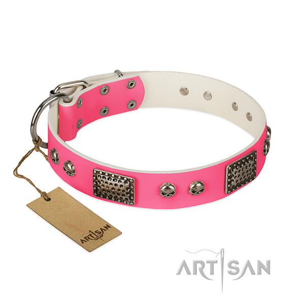 Easy adjustable natural leather dog collar for walking your doggie