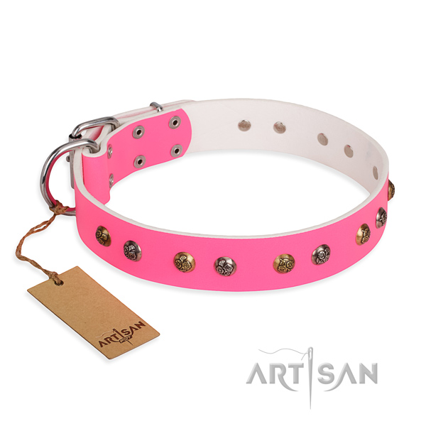 Everyday walking awesome dog collar with rust-proof buckle