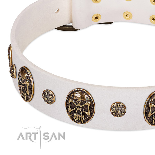 Strong decorations on full grain leather dog collar for your canine