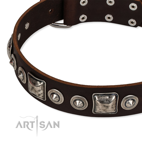 Full grain leather dog collar made of top rate material with decorations