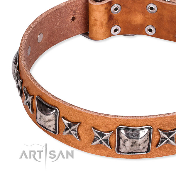 Daily use adorned dog collar of best quality full grain leather