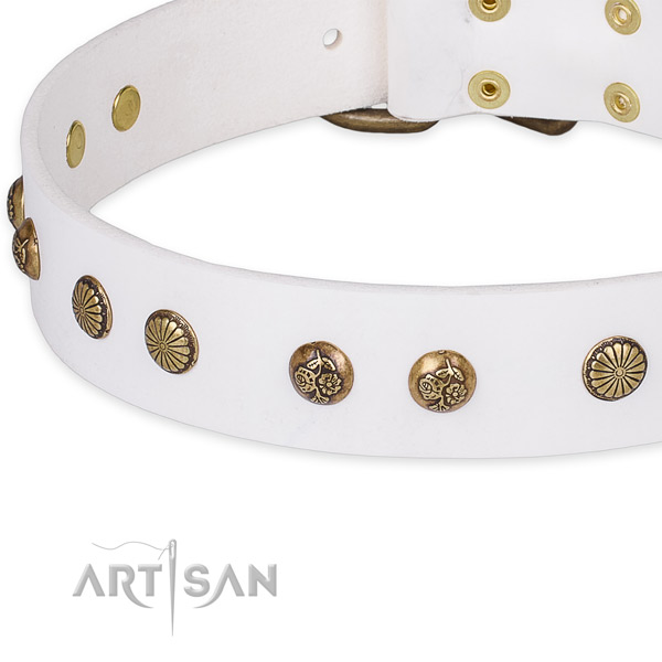 Full grain natural leather collar with reliable buckle for your beautiful four-legged friend