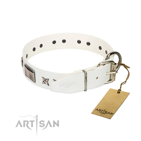 Extraordinary collar of full grain genuine leather for your handsome canine