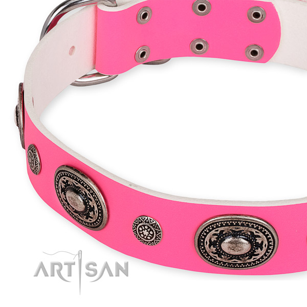 Full grain leather dog collar with fashionable rust resistant adornments