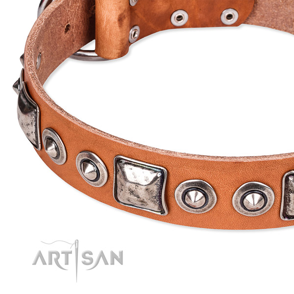 Quality full grain natural leather dog collar made for your impressive pet