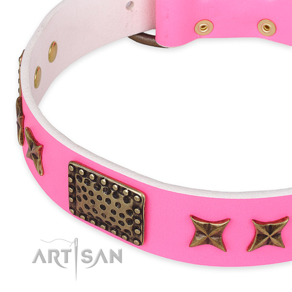 Leather collar with rust-proof fittings for your lovely dog