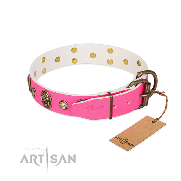 Reliable decorations on leather dog collar for your pet