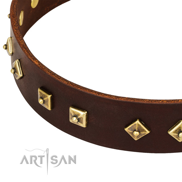 Adorned full grain leather collar for your handsome canine