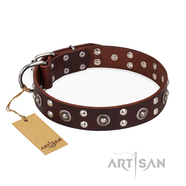 Stylish walking impressive dog collar with rust-proof traditional buckle